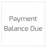 Balance Due / Other Payment